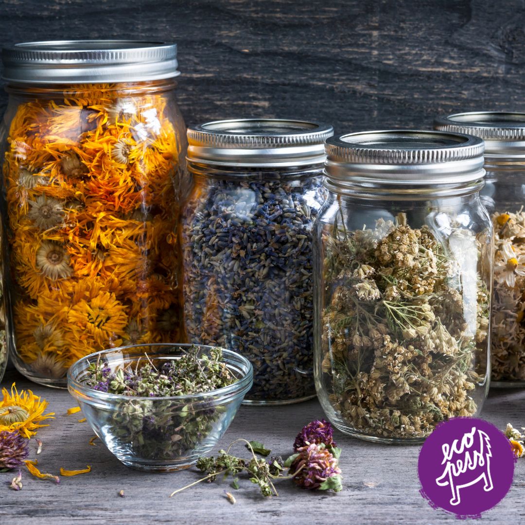 bylinne suplementy pro psy jako prevence